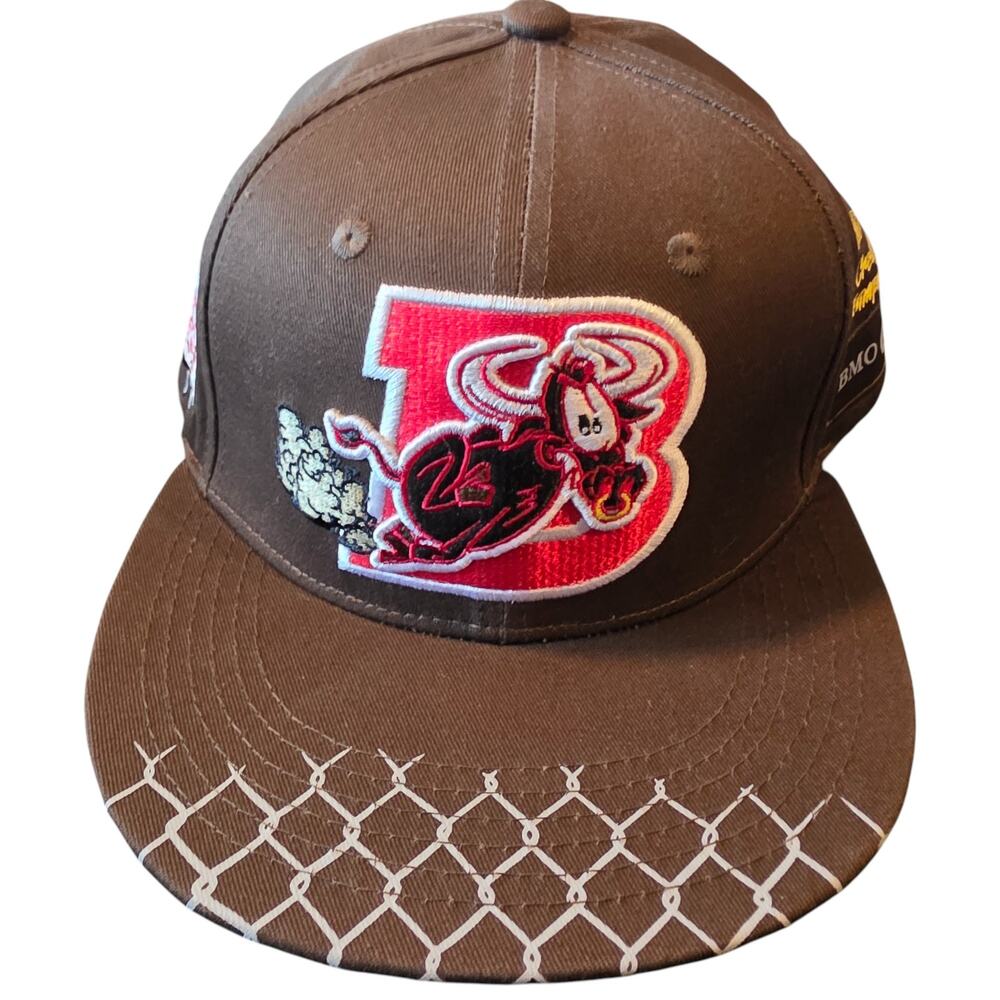 Chicago Bulls 2023 Artist Hat Series Snapback Trucker Hat Brown NEW Basketball